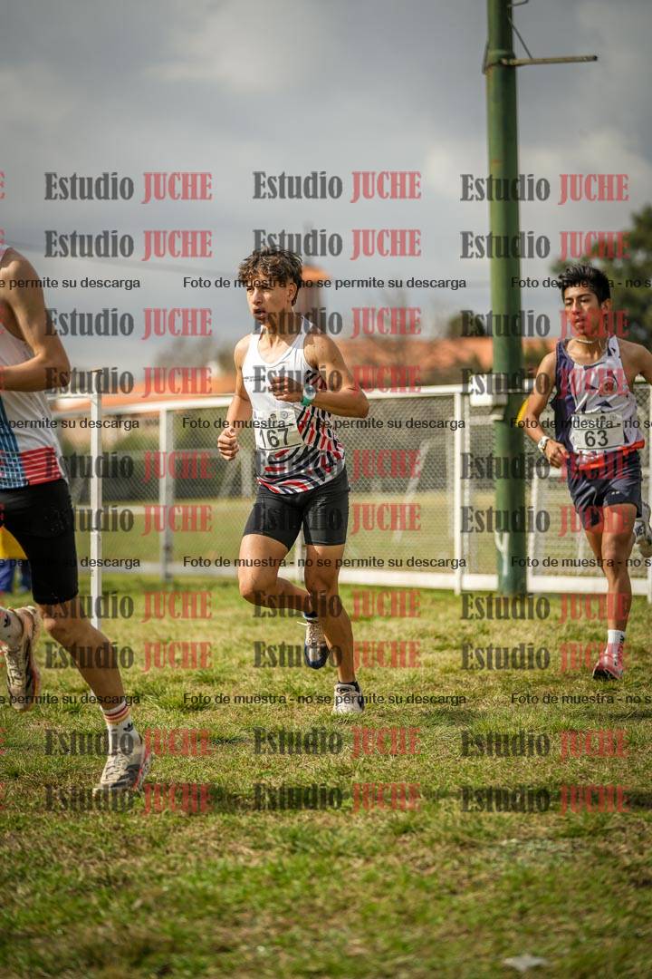 Fotos en el circuito