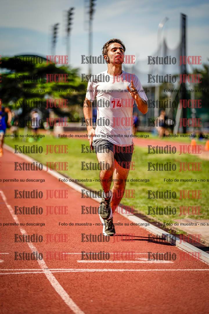Fotos de los 800 m llanos de varones