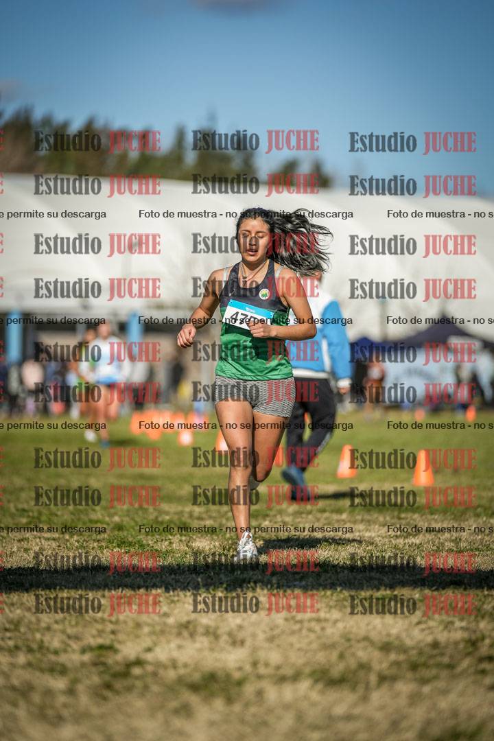 Fotos de las llegadas