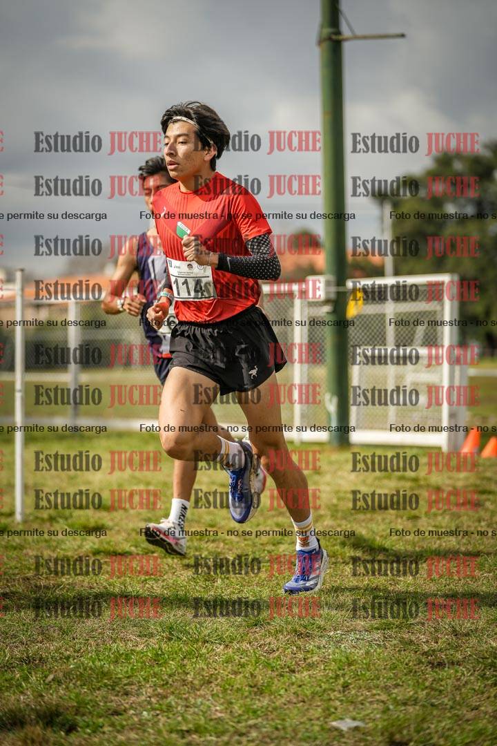 Fotos en el circuito