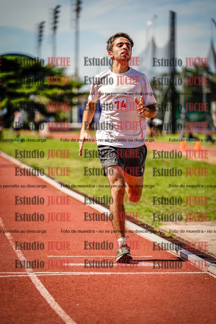 Fotos de los 800 m llanos de varones