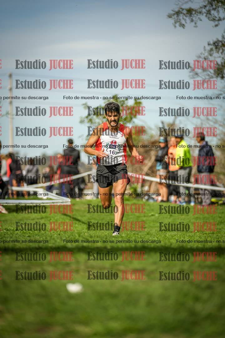 Fotos de la llegada del cross de 8000 m