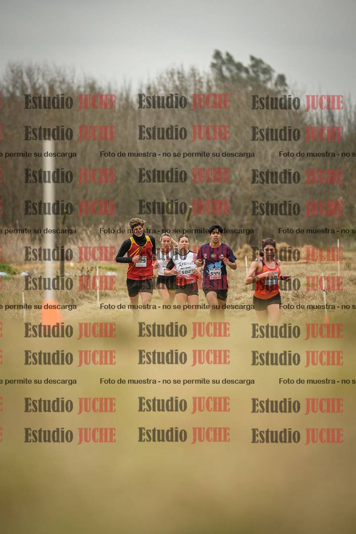 Fotos en el circuito