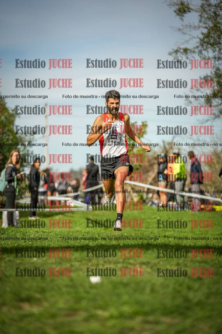 Fotos de la llegada del cross de 8000 m