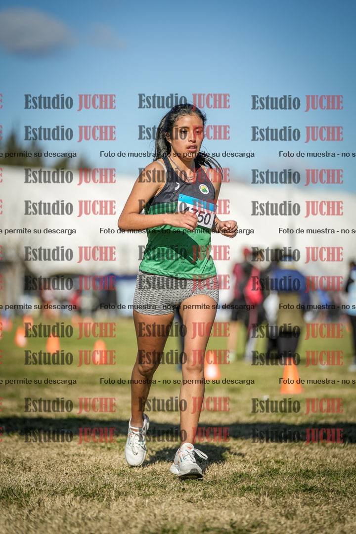 Fotos de las llegadas