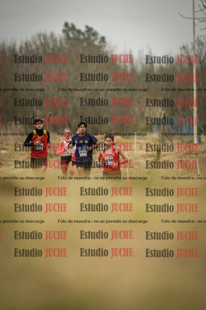Fotos en el circuito