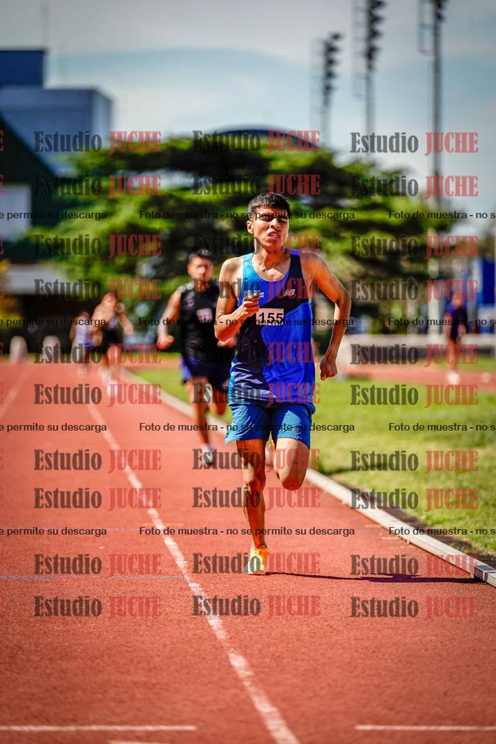 Fotos de los 800 m llanos de varones