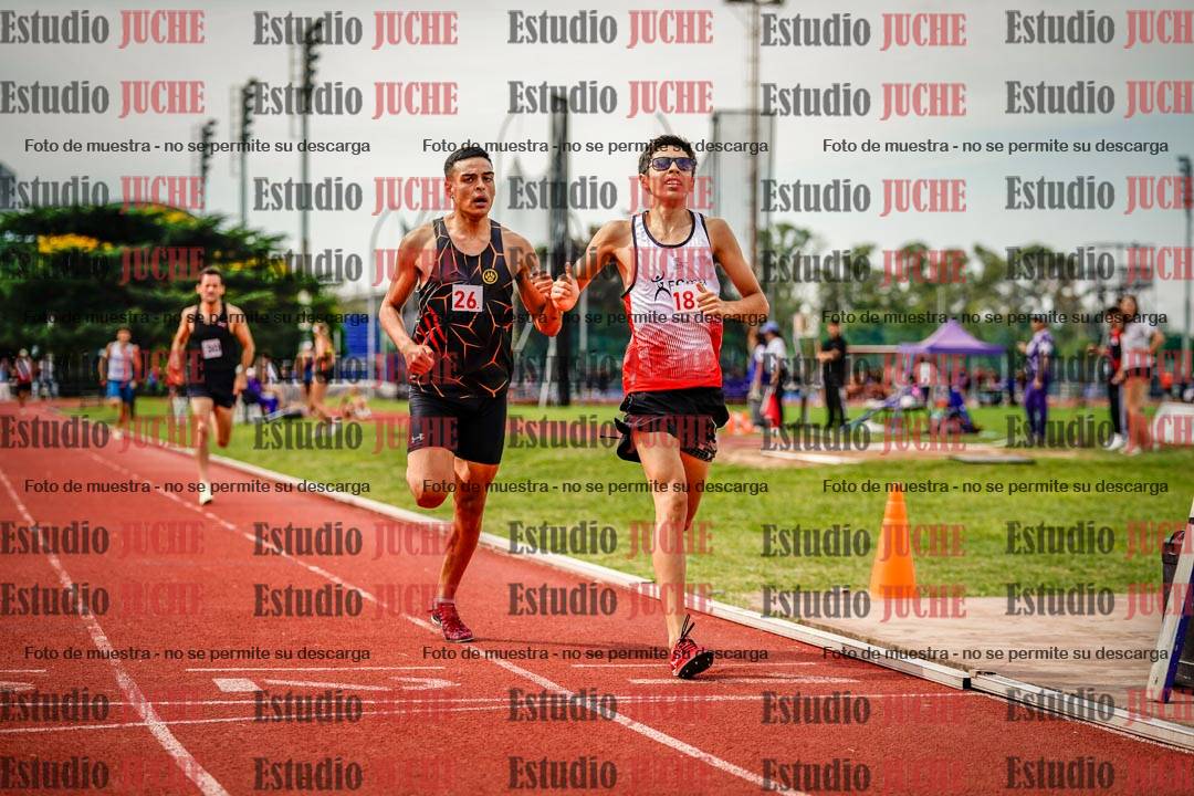 Fotos de los 800 m de varones