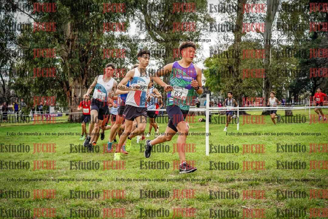 Fotos en el circuito