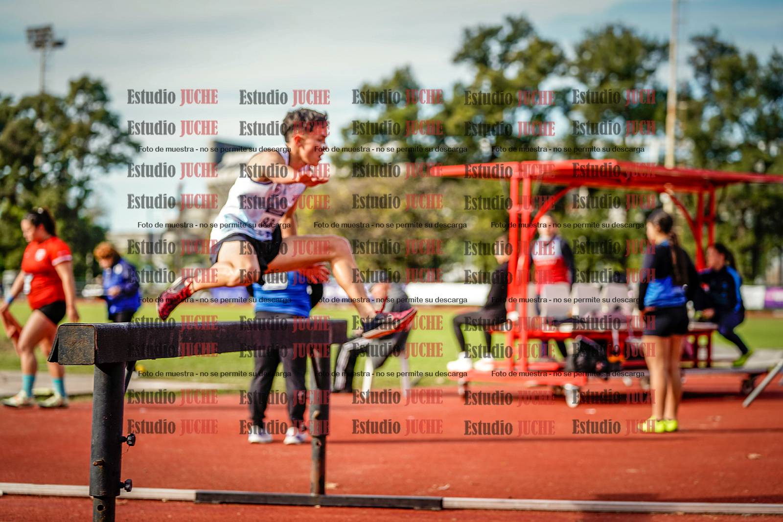 Fotos de los 3000 m con obstáculos de varones