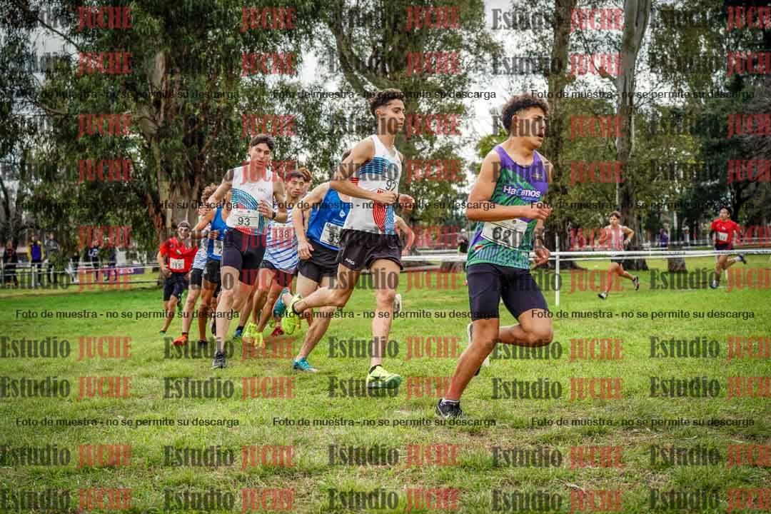 Fotos en el circuito