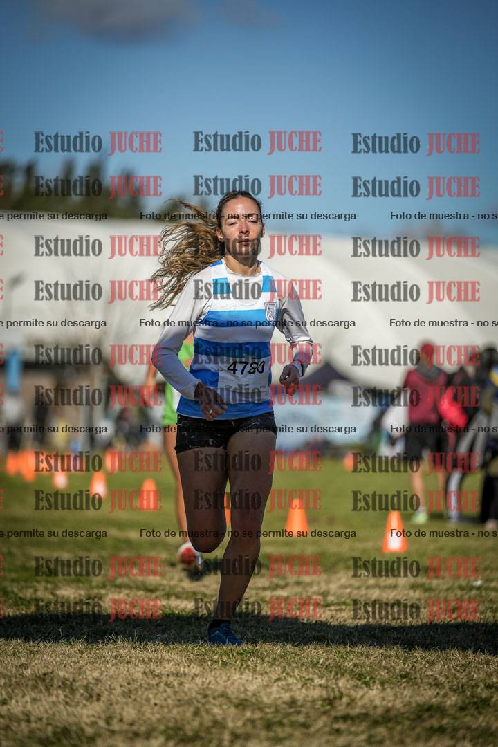 Fotos de las llegadas