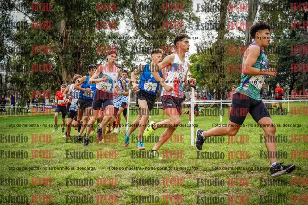 Fotos en el circuito