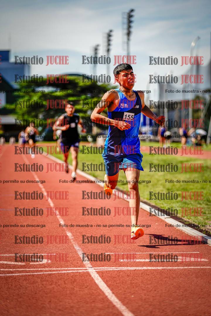 Fotos de los 800 m llanos de varones