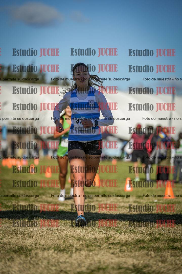 Fotos de las llegadas