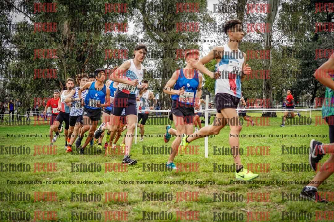 Fotos en el circuito