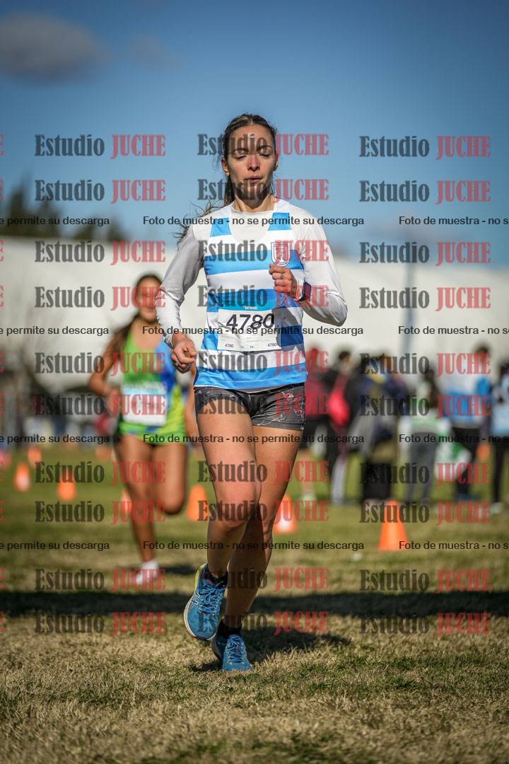 Fotos de las llegadas