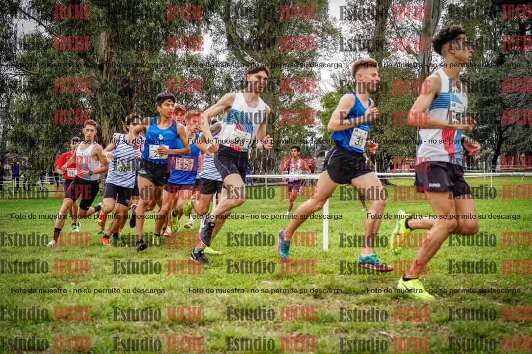 Fotos en el circuito