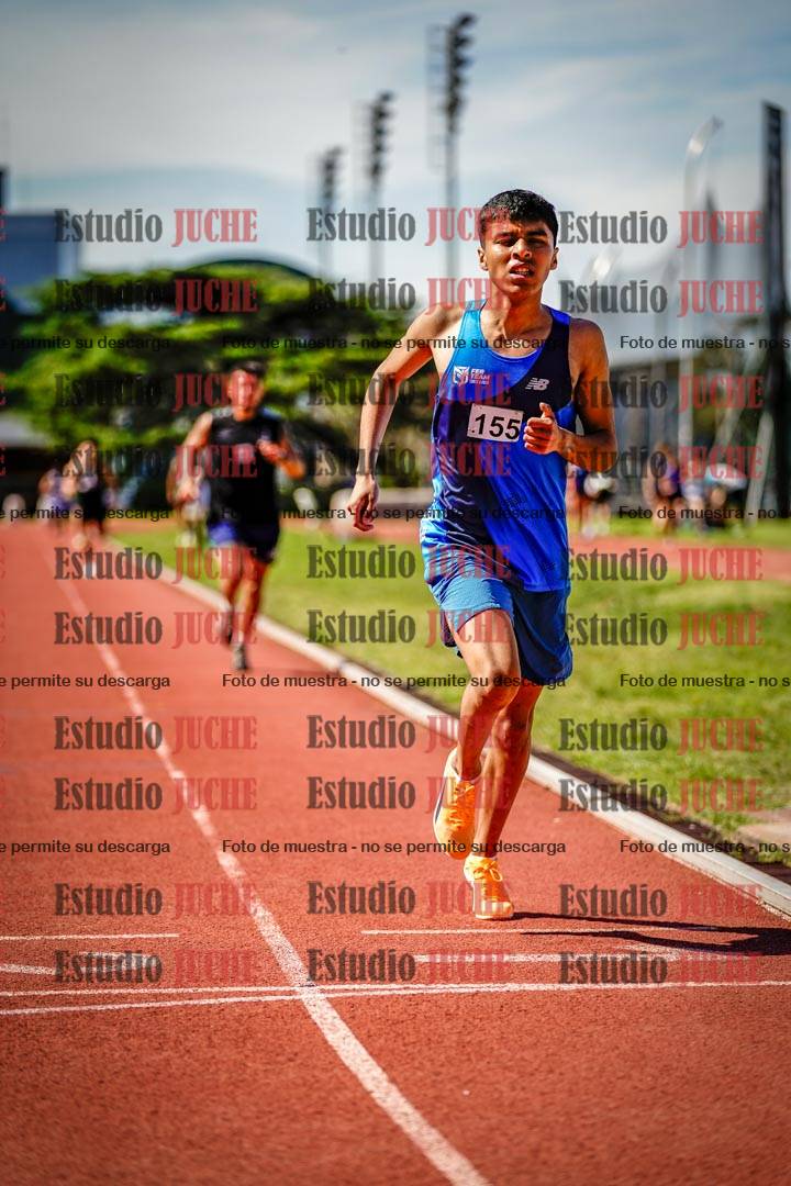 Fotos de los 800 m llanos de varones