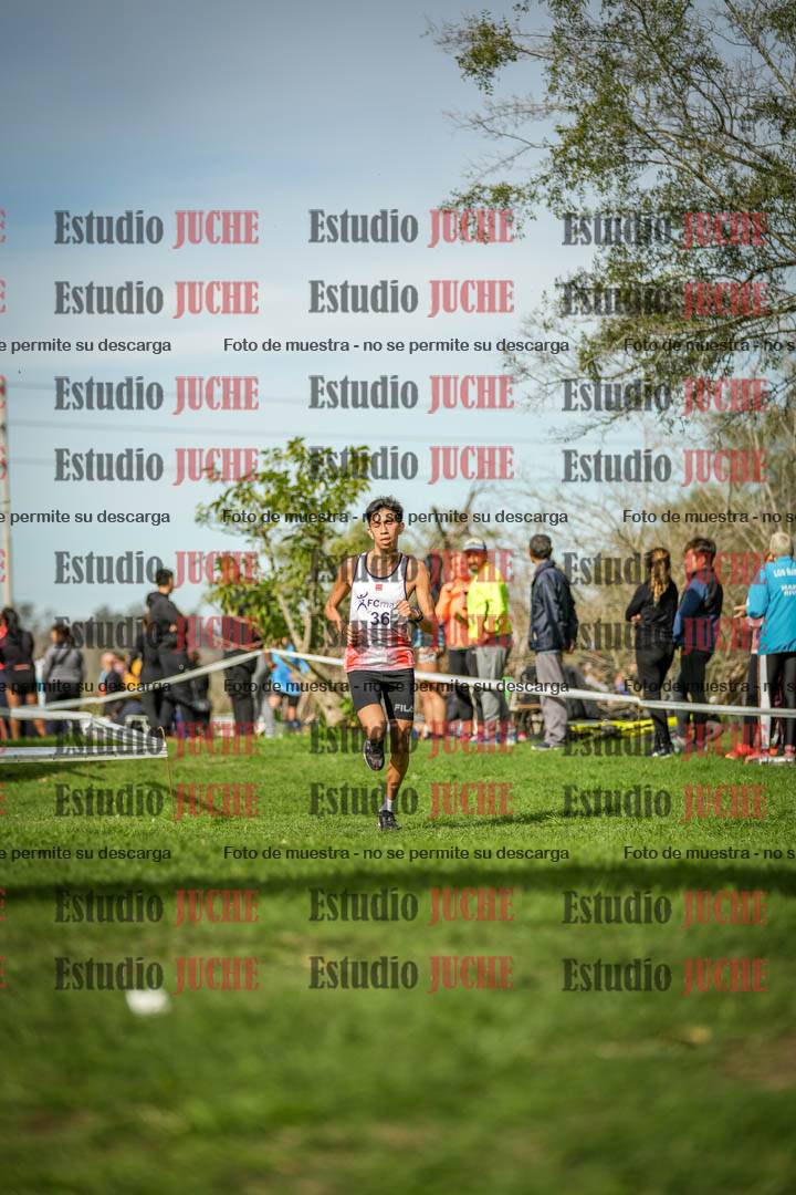 Fotos de la llegada del cross de 8000 m