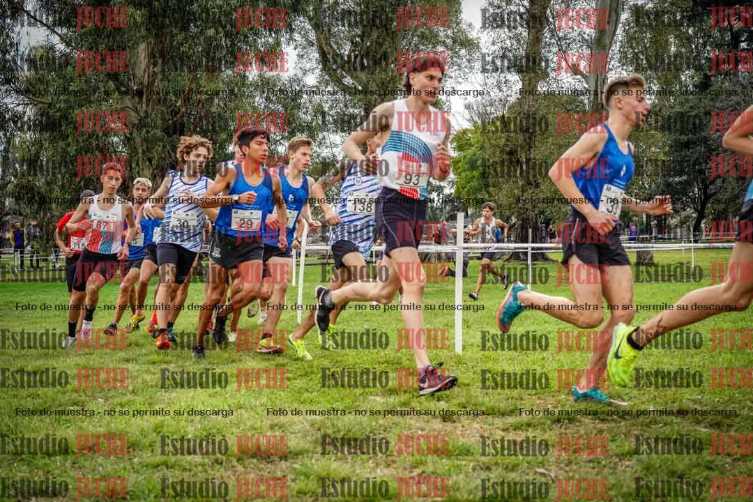 Fotos en el circuito