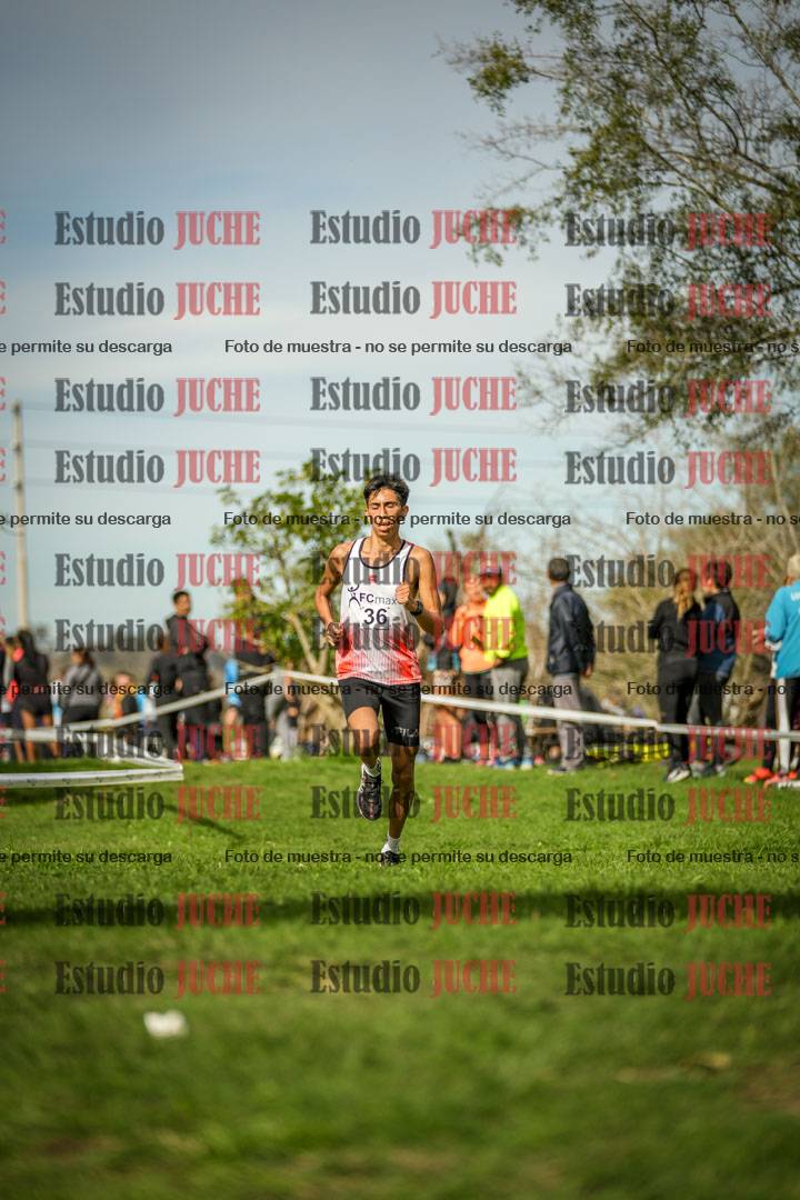 Fotos de la llegada del cross de 8000 m