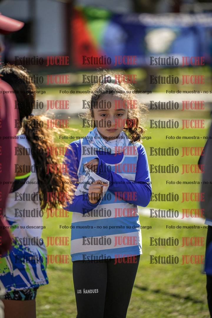 Fotos de la llegada del cross de 1500 m