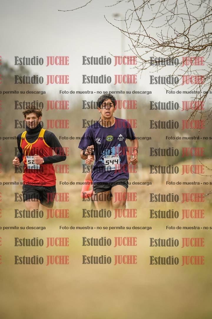 Fotos en el circuito
