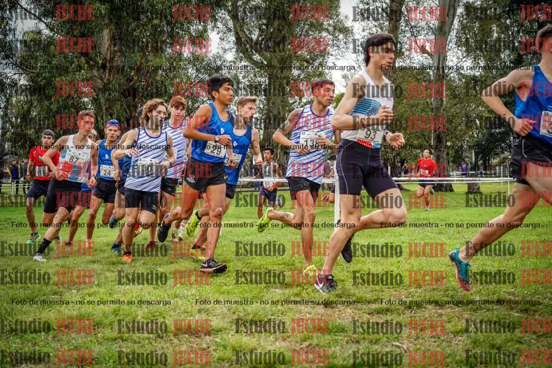 Fotos en el circuito