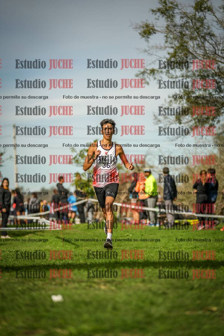 Fotos de la llegada del cross de 8000 m