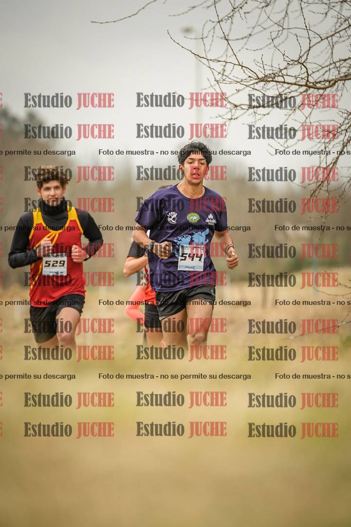 Fotos en el circuito