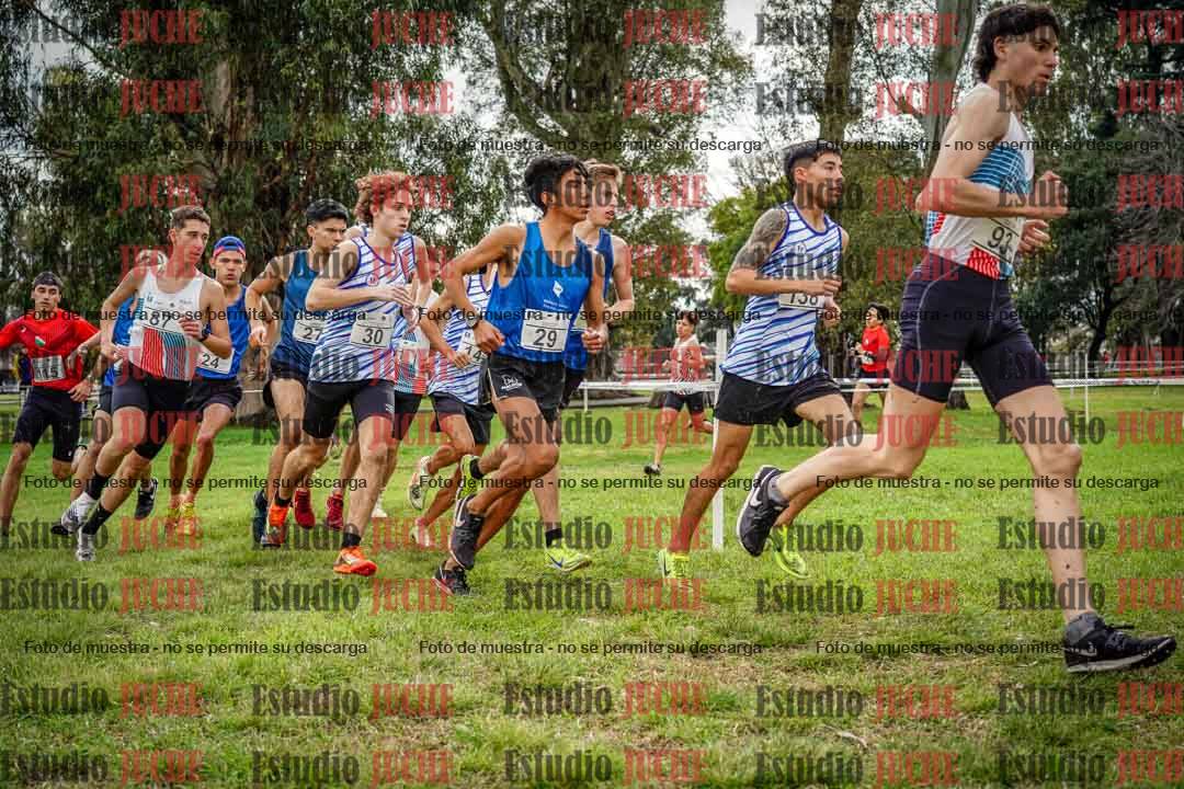 Fotos en el circuito
