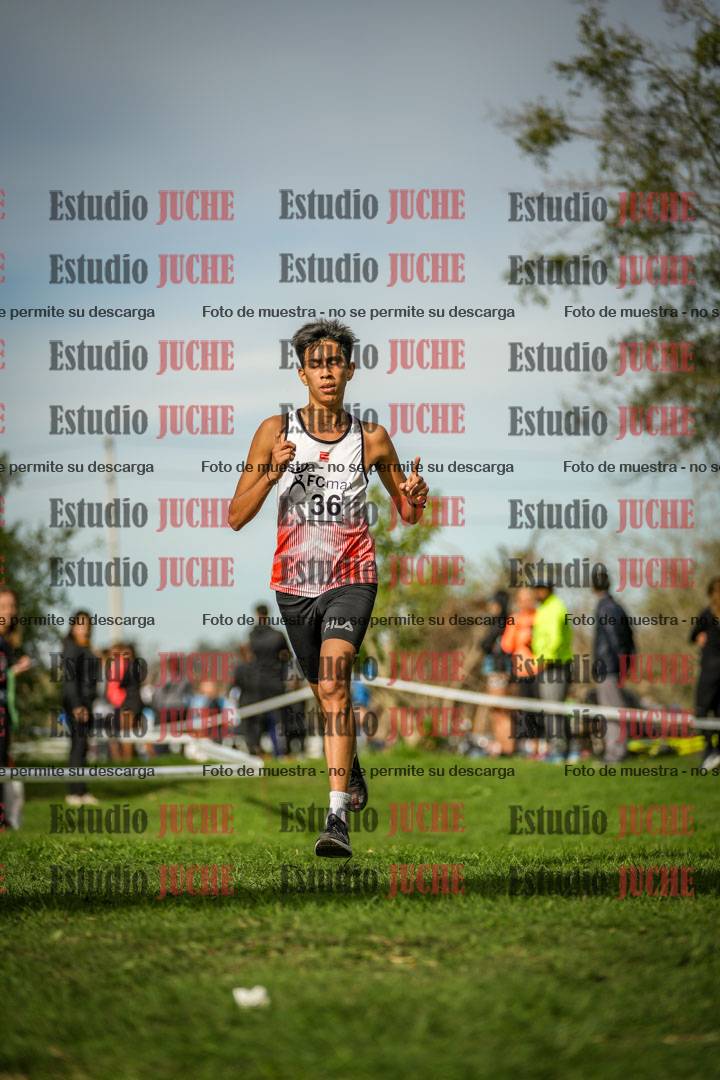Fotos de la llegada del cross de 8000 m