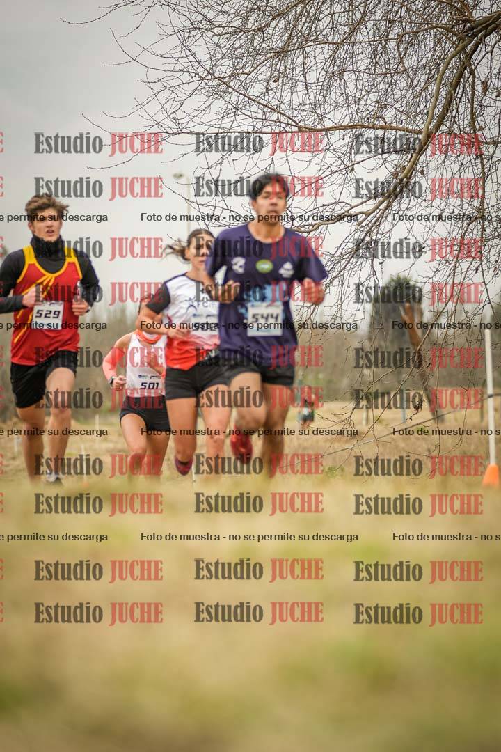 Fotos en el circuito