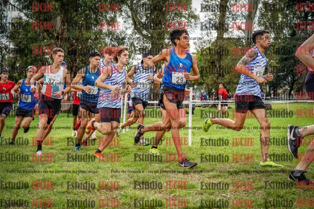 Fotos en el circuito