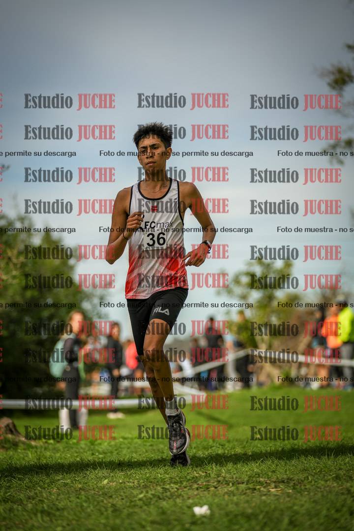 Fotos de la llegada del cross de 8000 m