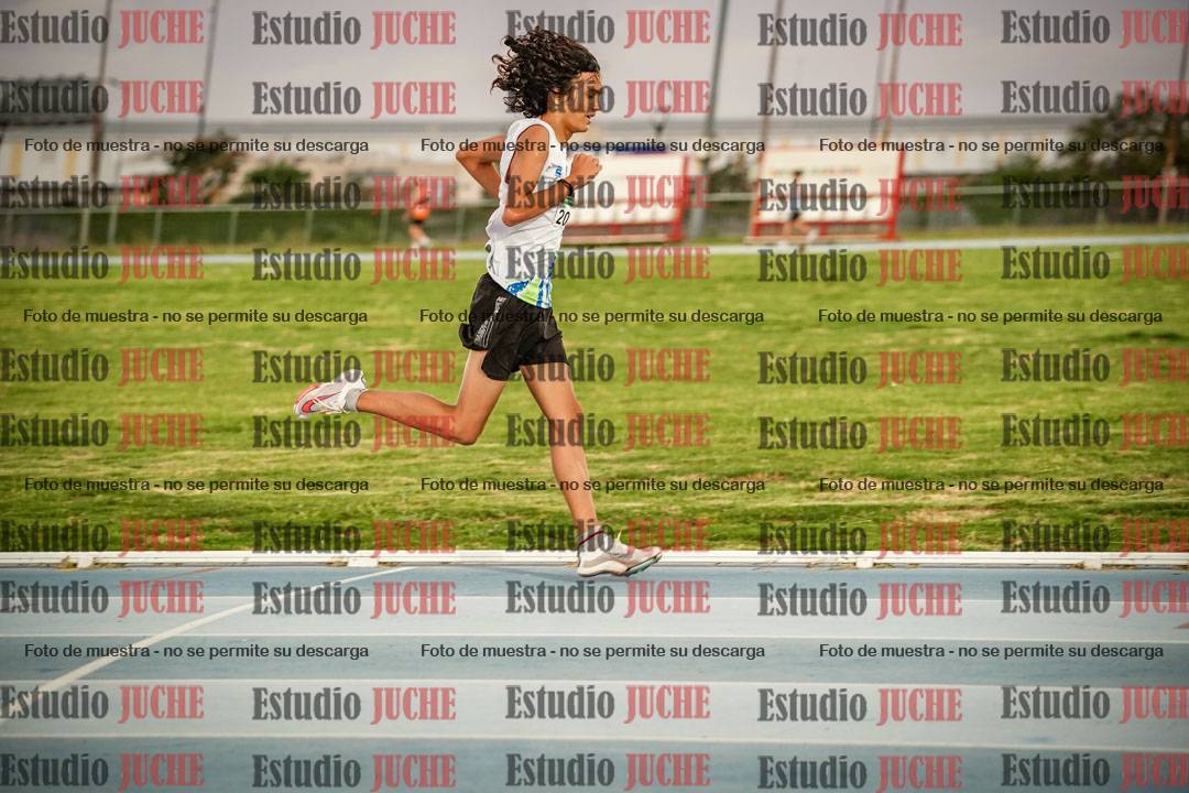 Fotos de los 3000 m llanos de varones