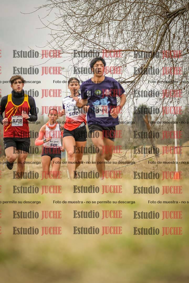 Fotos en el circuito