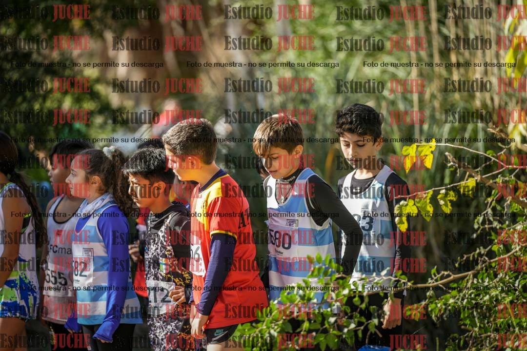 Fotos en de la largada