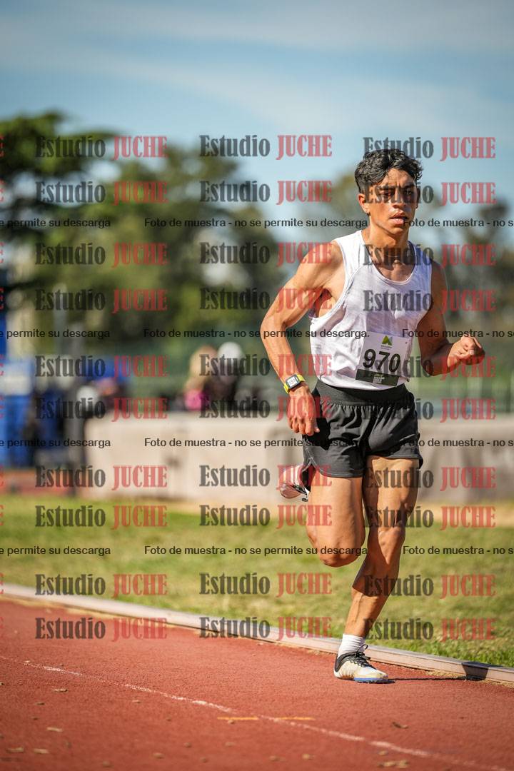 Fotos de los 5000 m llanos de varones