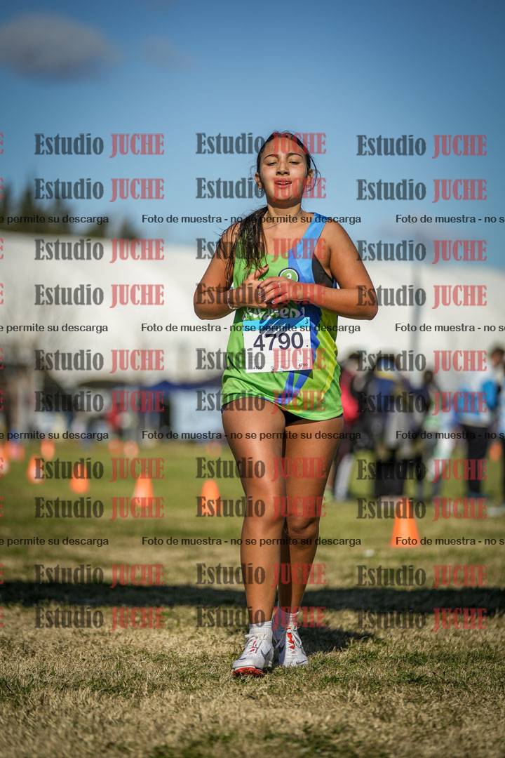 Fotos de las llegadas