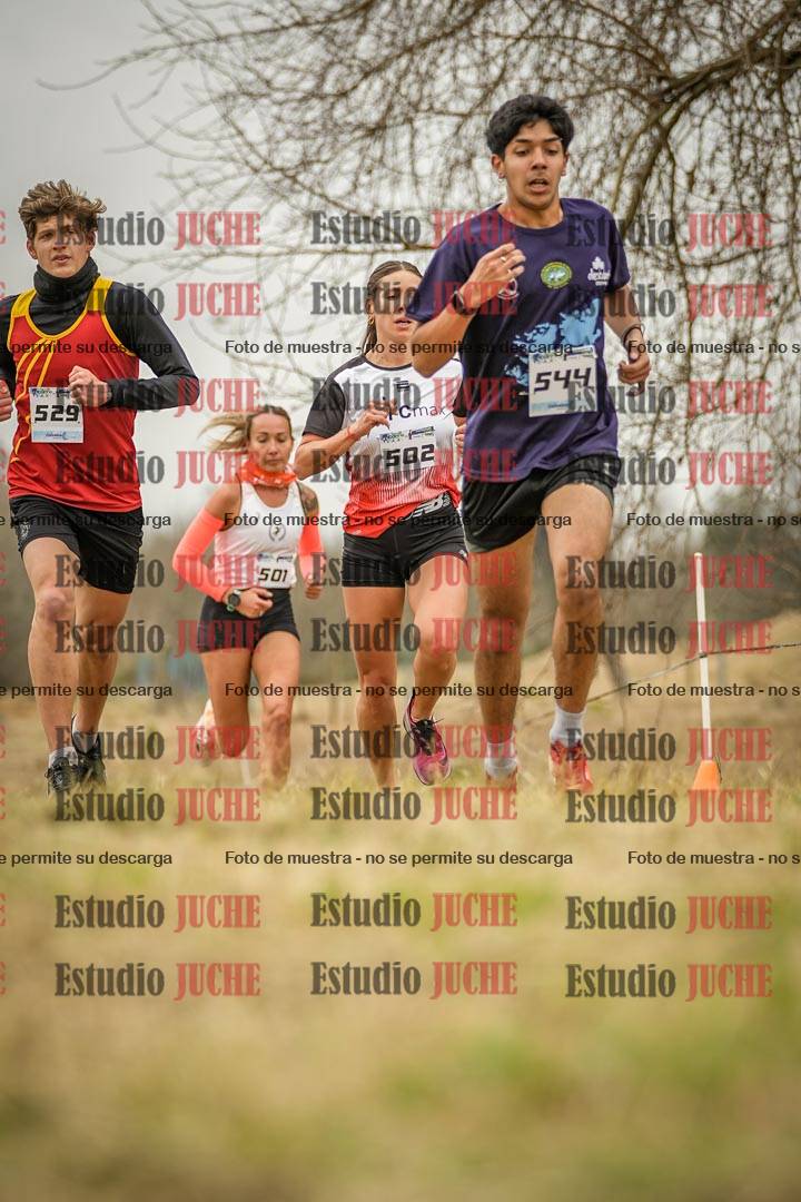 Fotos en el circuito