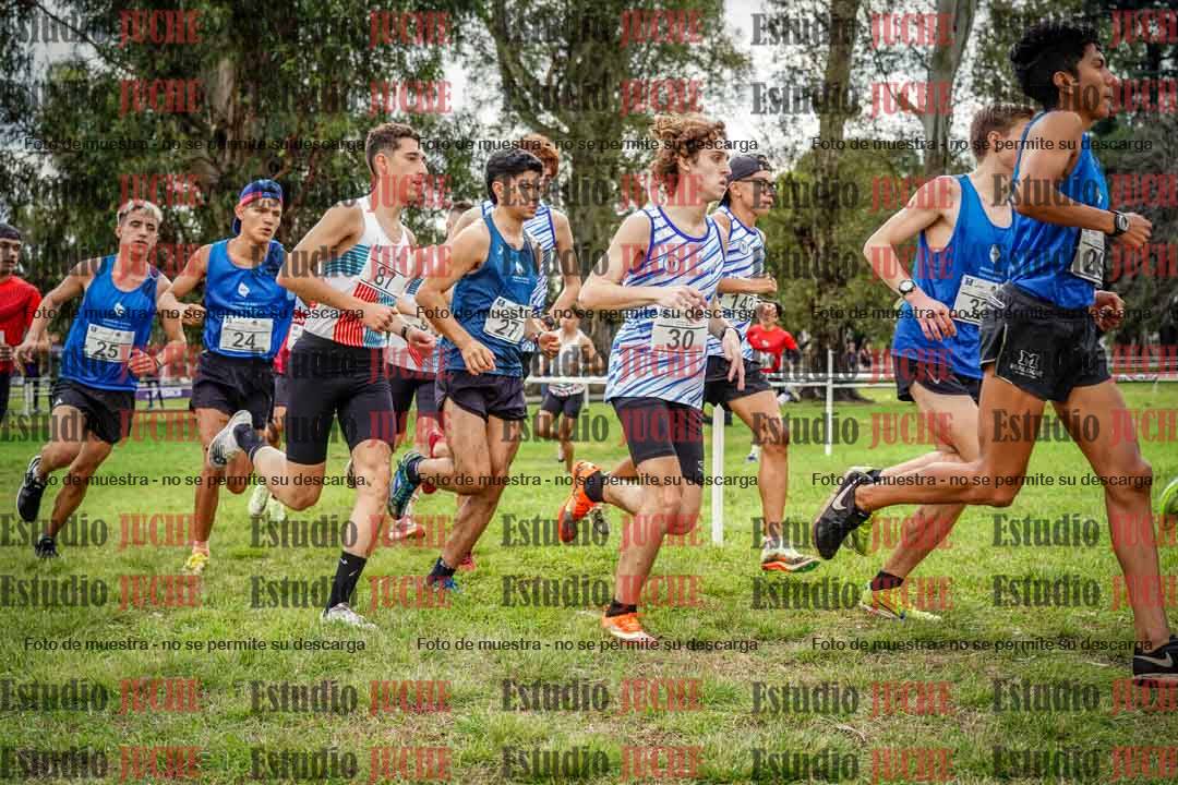 Fotos en el circuito