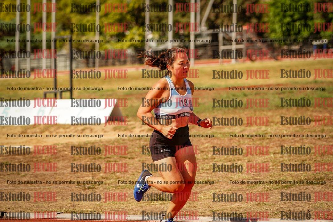 Fotos de los 800 m llanos de mujeres