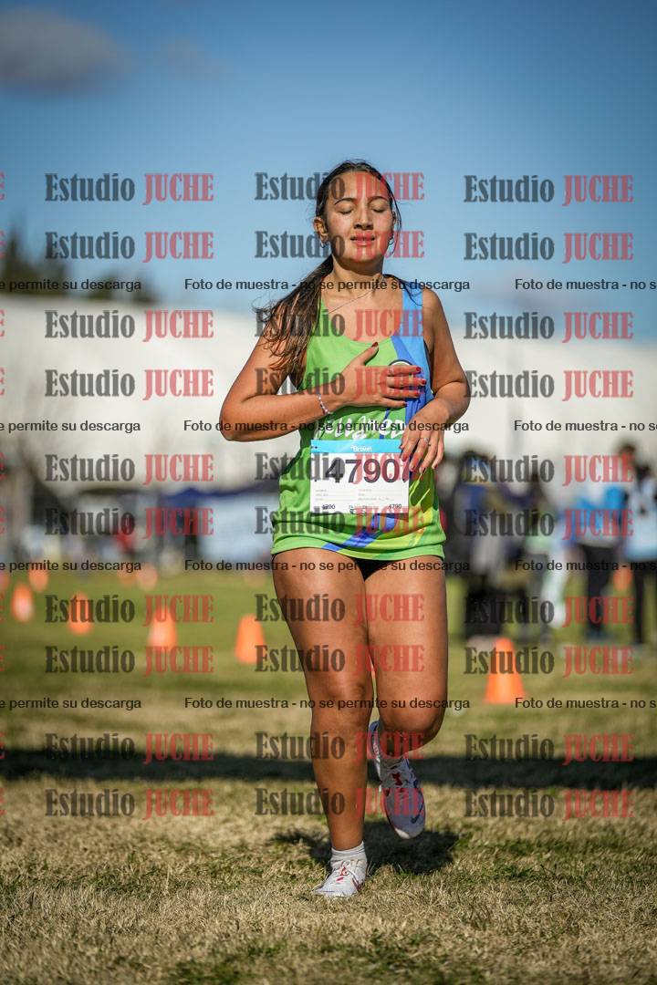 Fotos de las llegadas