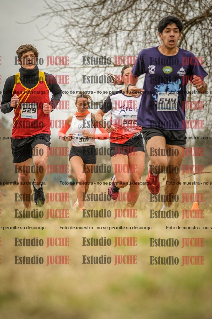 Fotos en el circuito