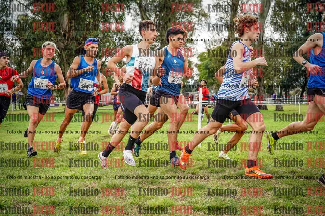 Fotos en el circuito