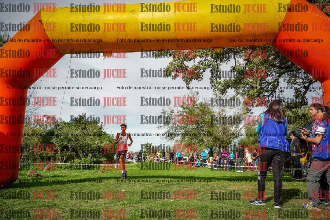 Fotos de la llegada del cross de 8000 m