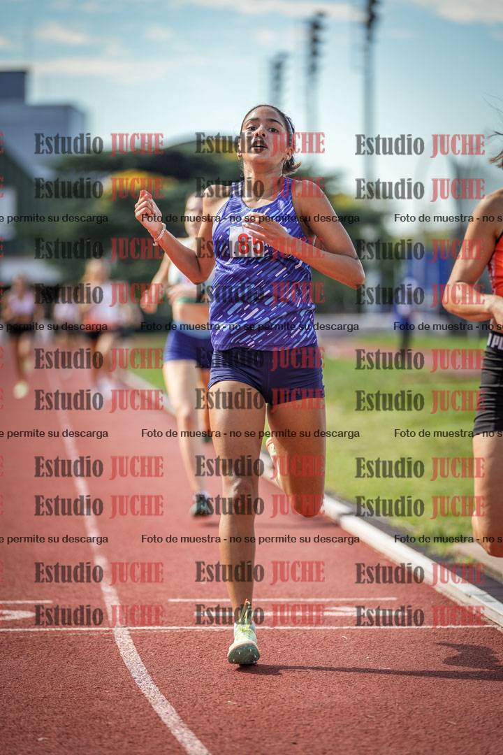 Fotos de los 800 m llanos de mujeres