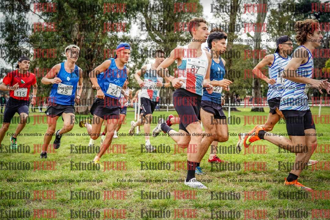 Fotos en el circuito